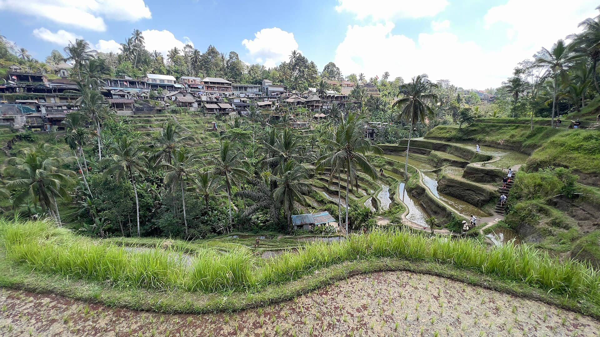 Set-Jetting: Tren Wisata ke Lokasi Syuting Film dan Drama Favorit di Indonesia
