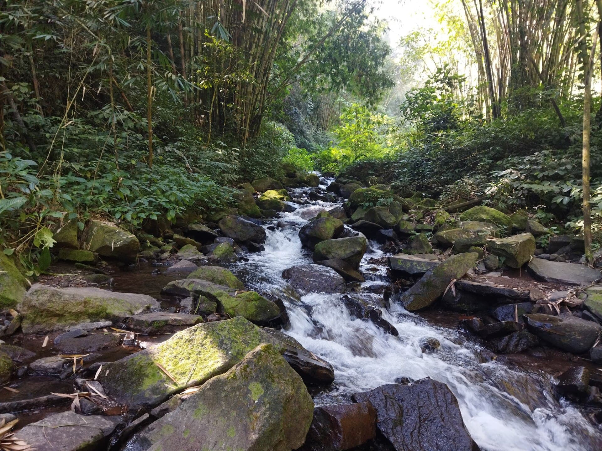 Air Terjun Tretes, Jombang