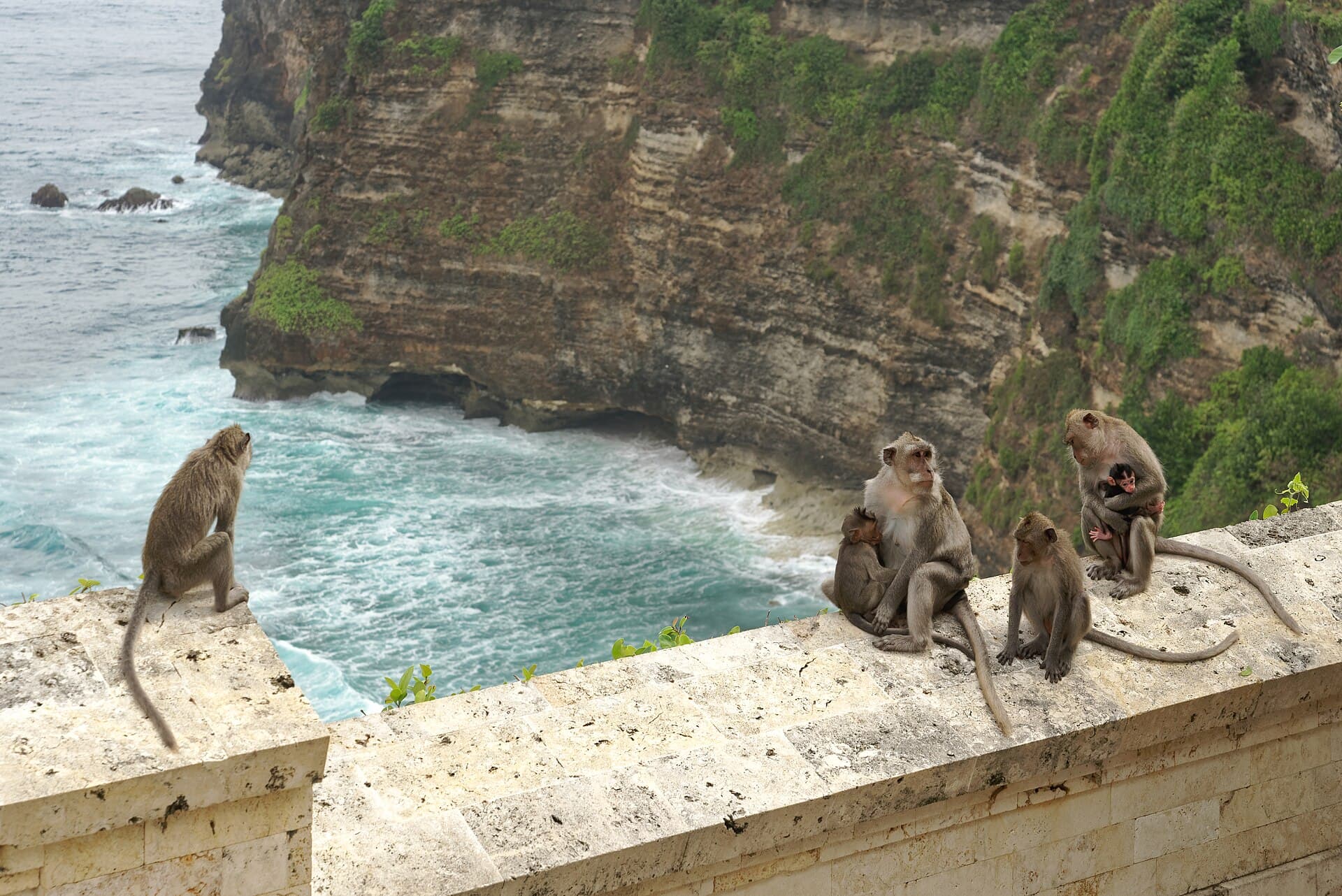 Sacred Monkey Forest Sanctuary, Ubud