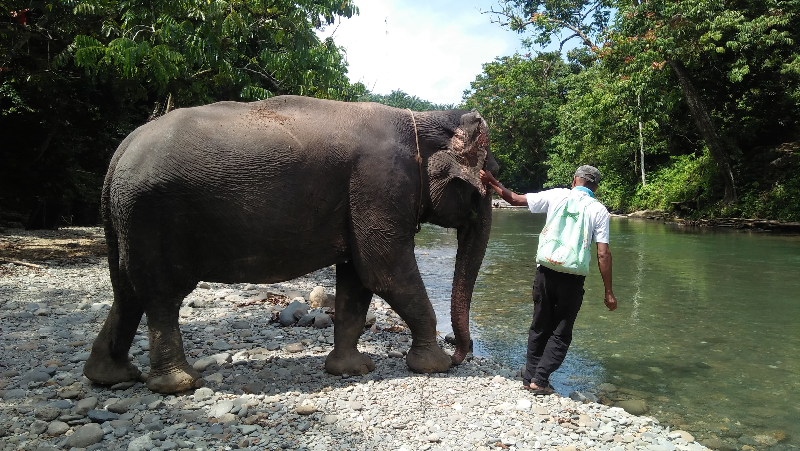 Tangkahan Gunung Leuser: Tiket Rp3.000, Nilai Ekonominya Rp72,7 Miliar