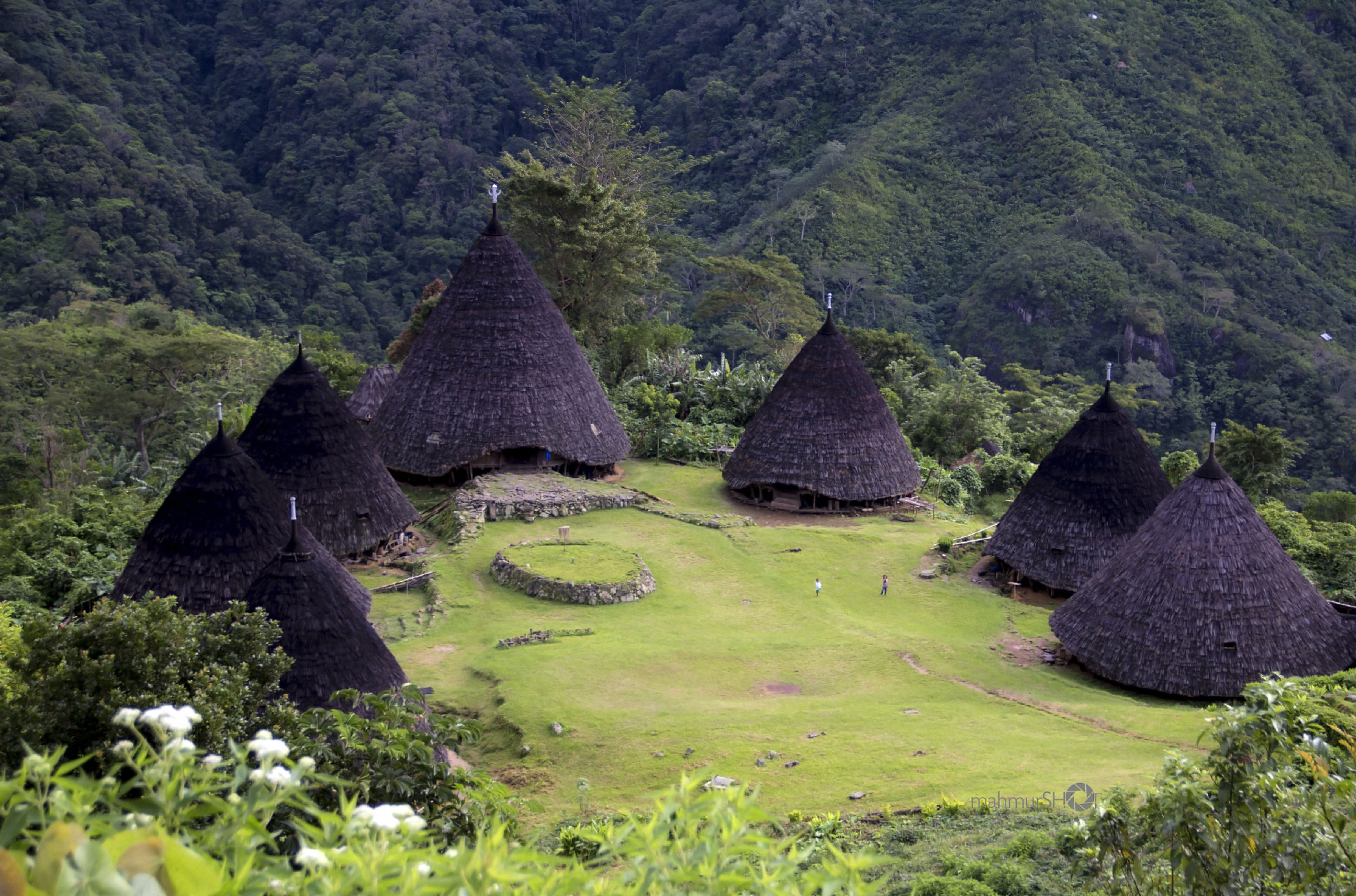 Wae Rebo: Desa di Atas Awan yang Sepenuhnya Dikelola Warganya Sendiri