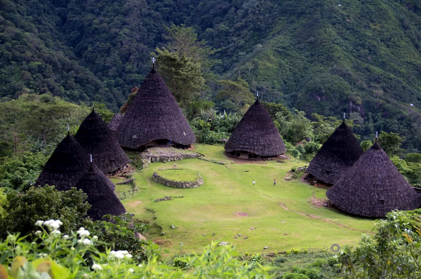 Wae Rebo: Desa di Atas Awan yang Sepenuhnya Dikelola Warganya Sendiri