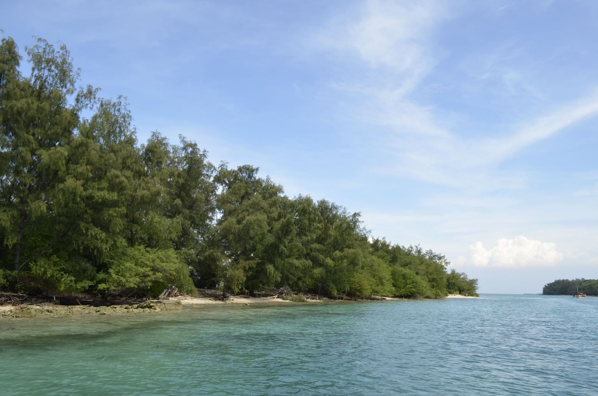Terumbu Karang Kepulauan Seribu: Spot Snorkeling Jauh Lebih Rusak