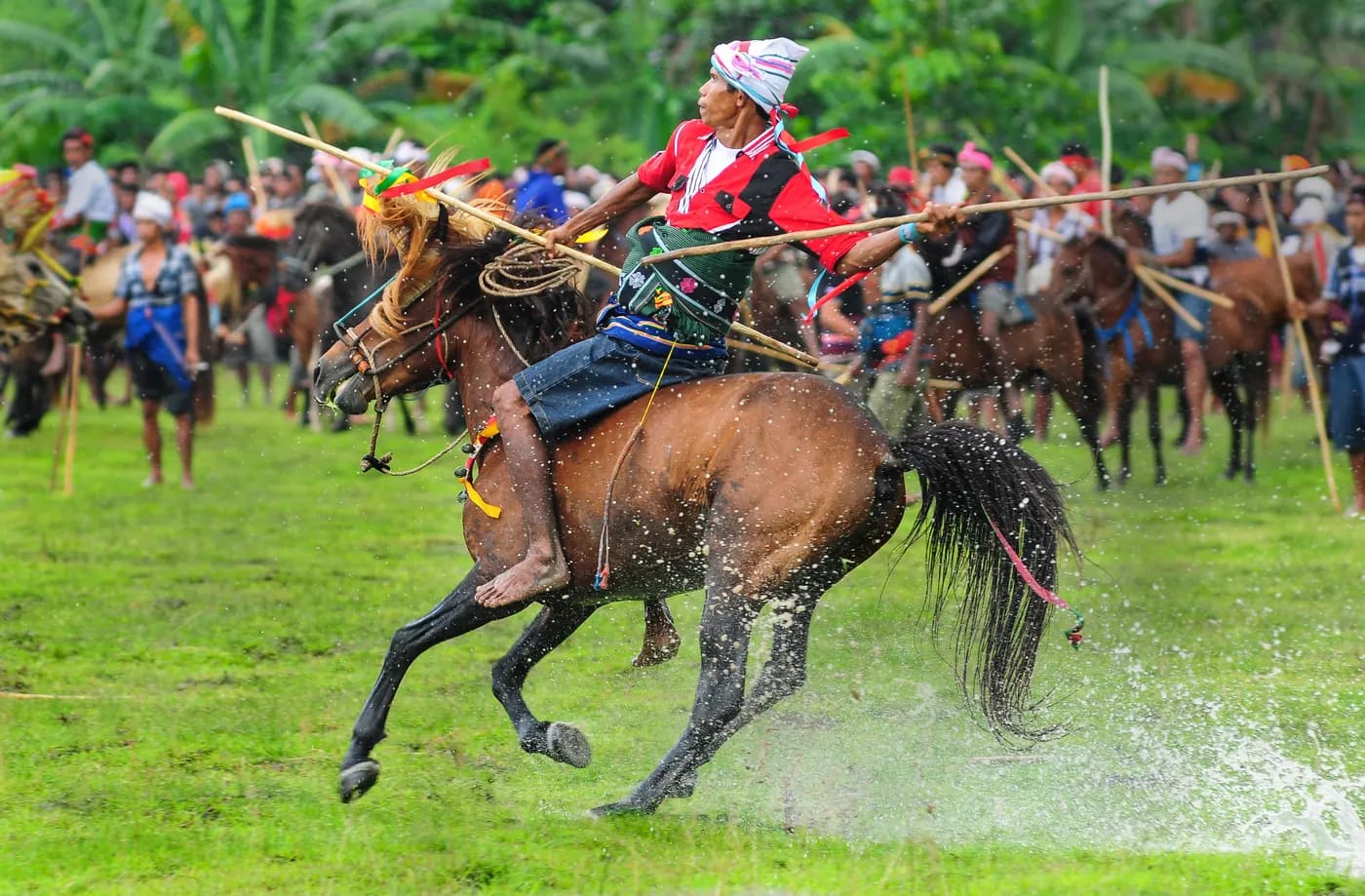 Nyale dan Pasola: Ritual Cacing Laut dan Perang Berkuda di Sumba Barat