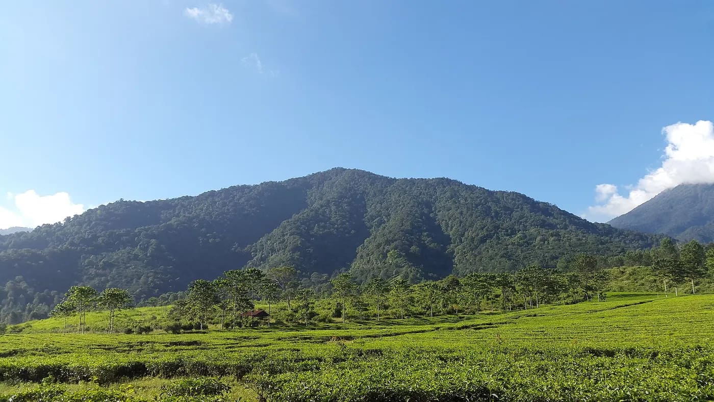 Tips Traveling Bareng Anak dan Keluarga Biar Anti Drama dan Tetap Seru