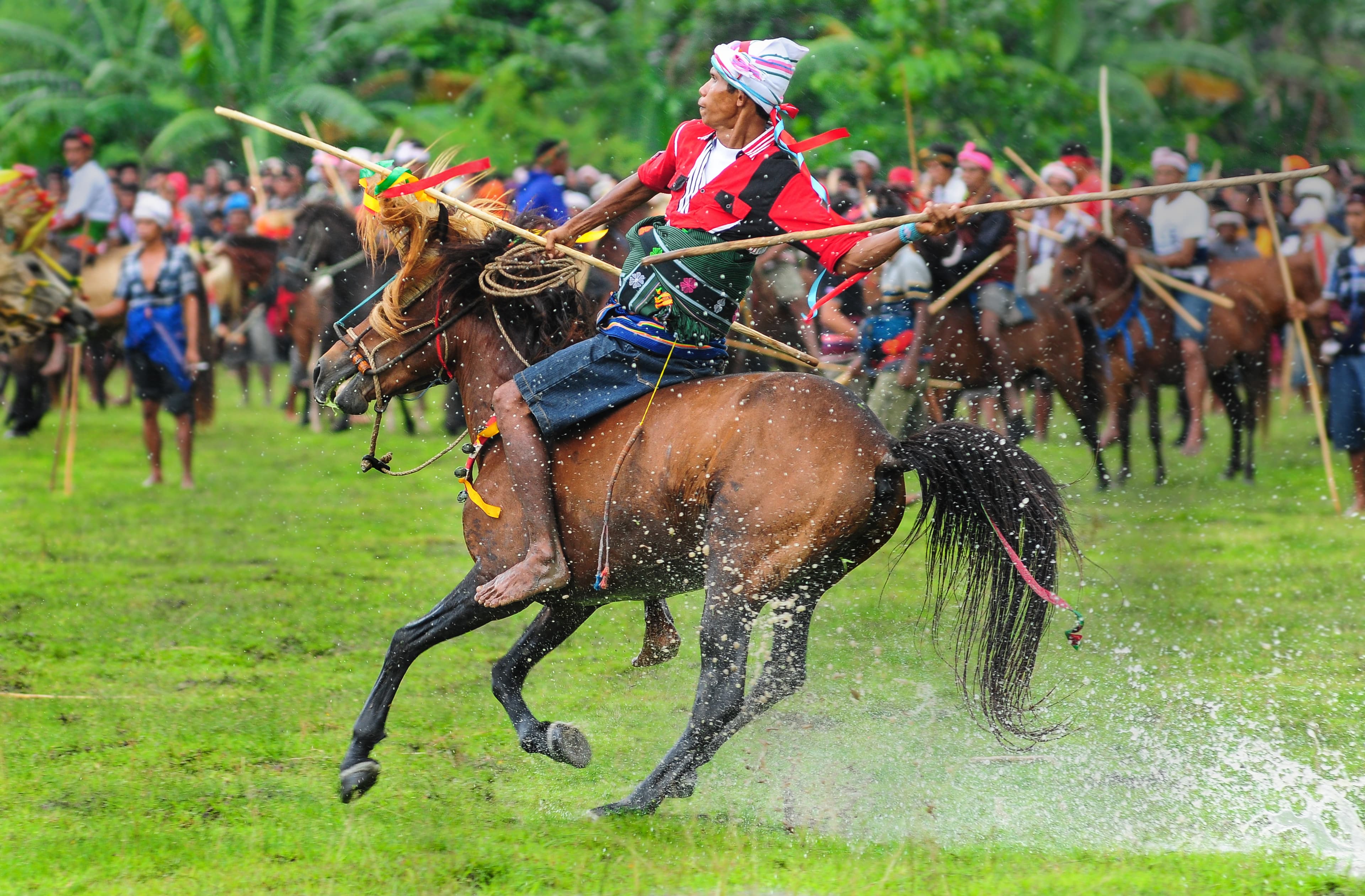 Nyale dan Pasola: Ritual Cacing Laut dan Perang Berkuda di Sumba Barat