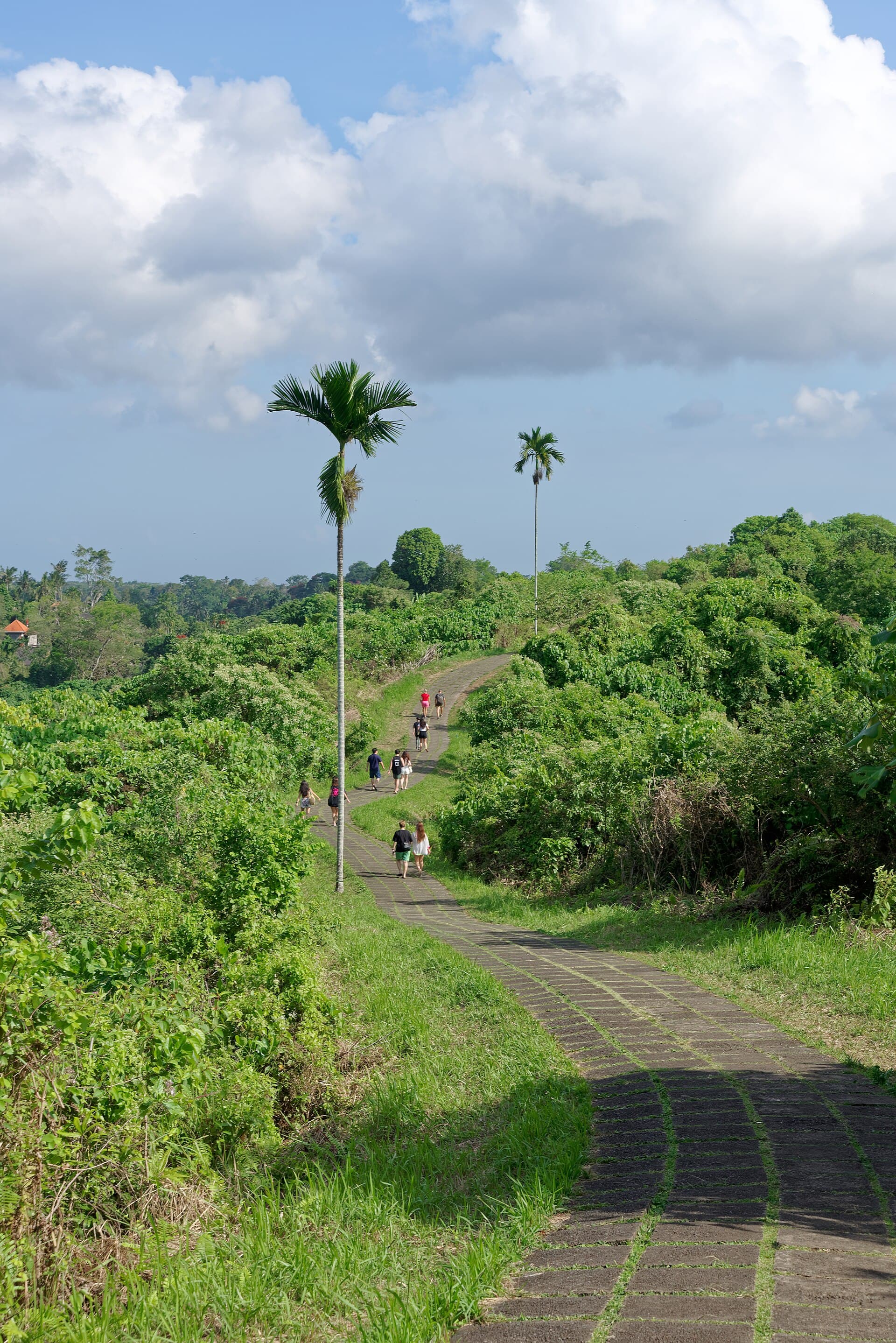Campuhan Ridge Walk, Ubud
