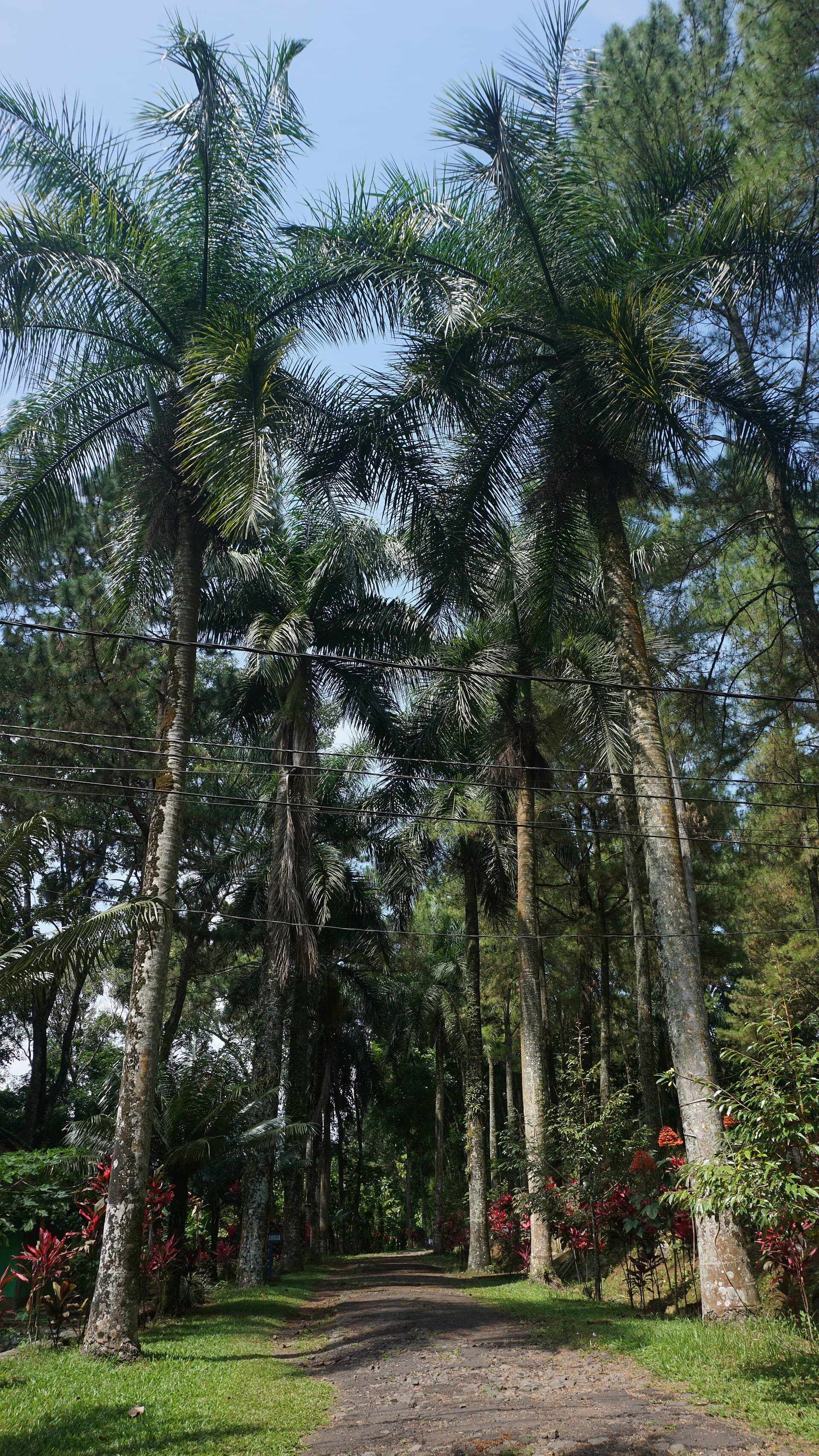 Desa Wisata Krebet, Bantul