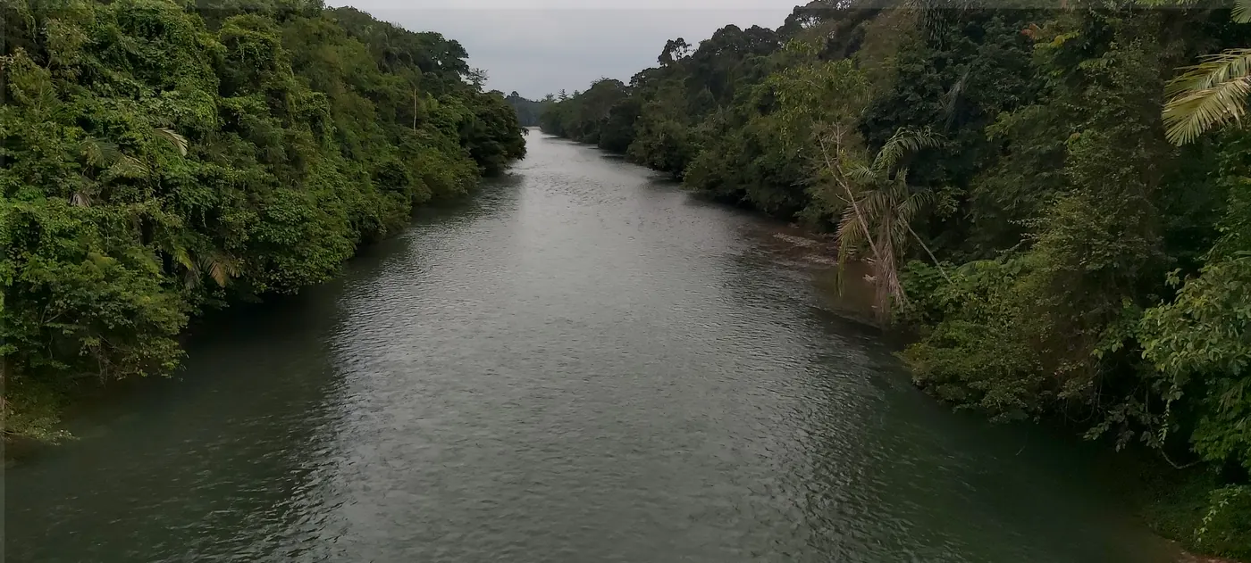 Aliran sungai berair jernih diapit hutan tropis rapat di kawasan Tangkahan, Kabupaten Langkat