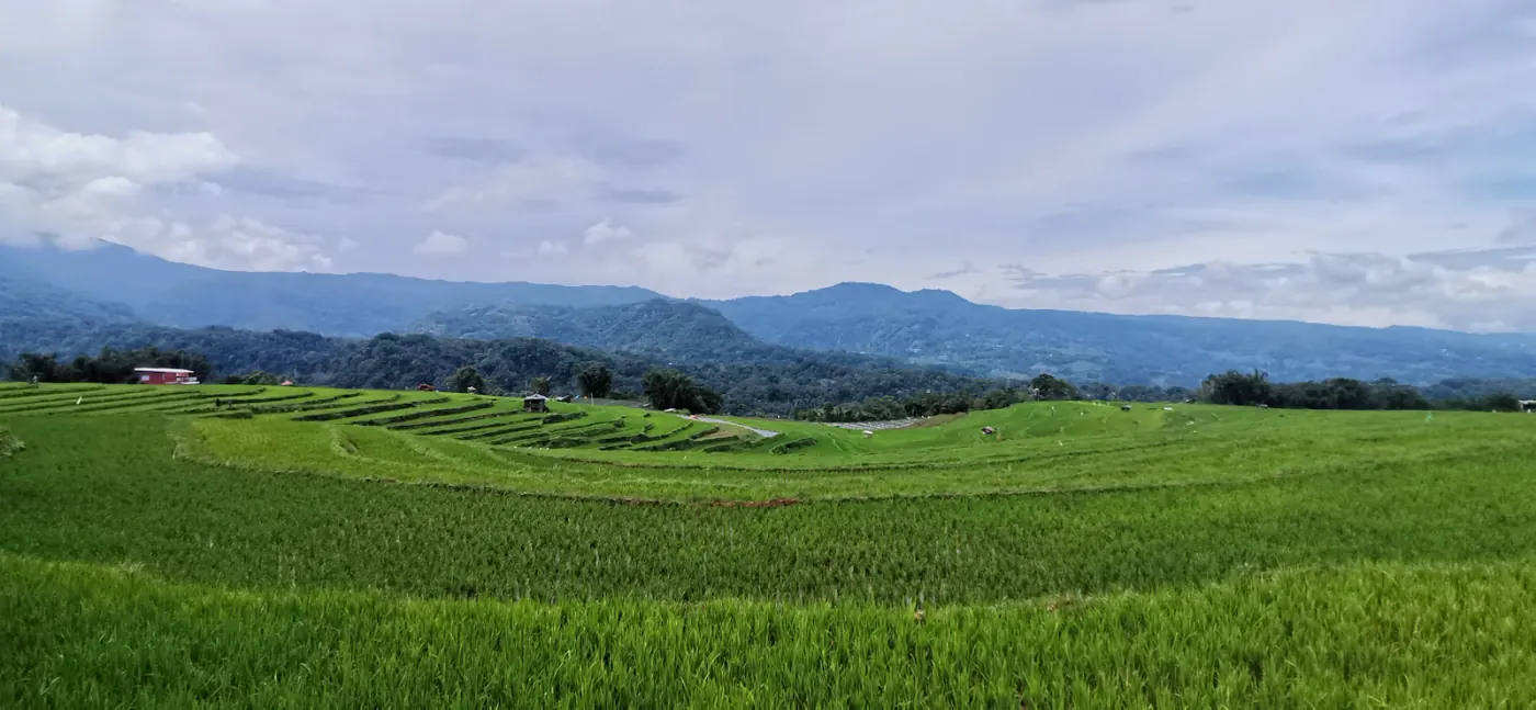 Hamparan dataran tinggi Toraja yang kerap berselimut awan