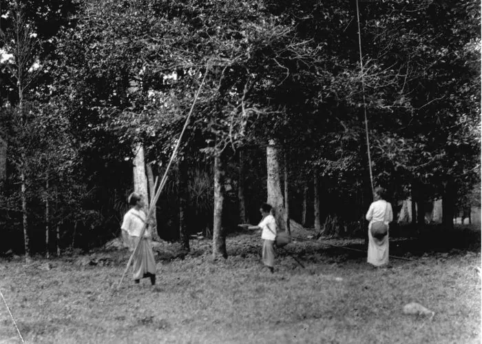 Tiga pekerja memetik buah pala memakai galah panjang di bawah tajuk pohon di sebuah kebun di Kepulauan Banda