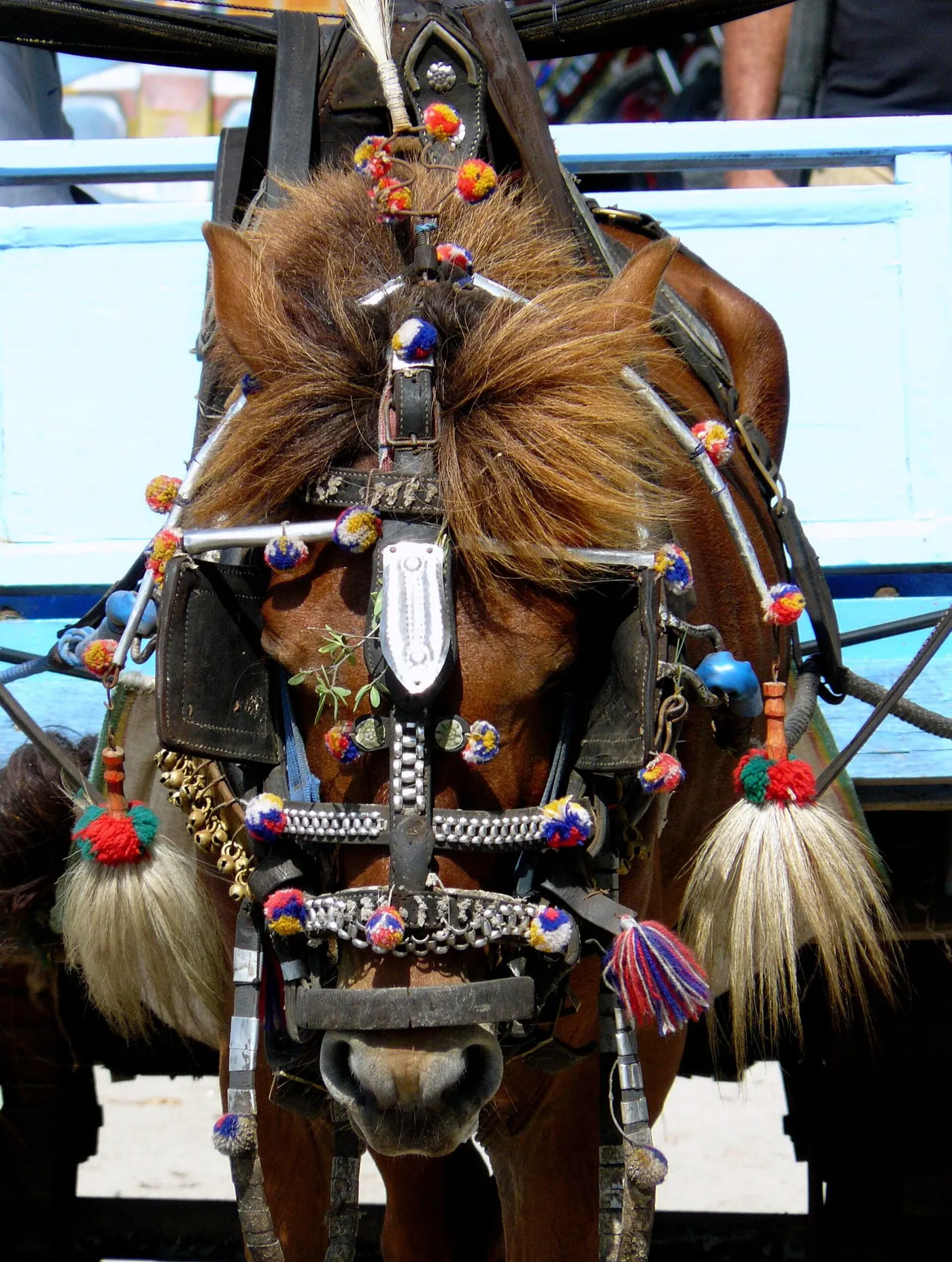 Cidomo, transportasi tradisional tanpa kendaraan bermotor di Gili Trawangan. Foto: Wikimedia Commons, CC BY 2.0
