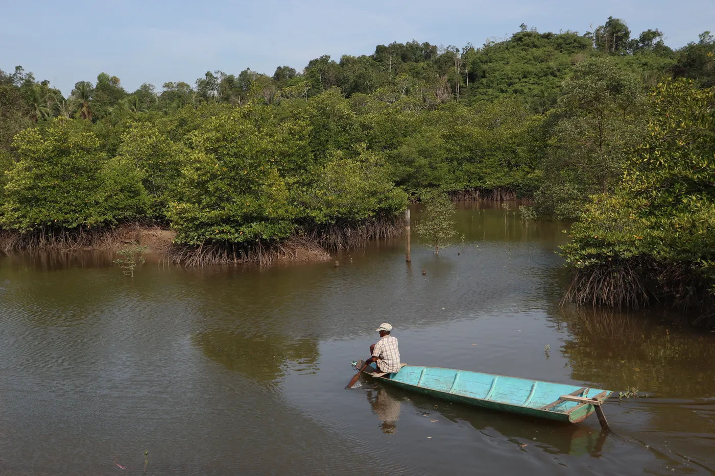 Seorang nelayan mendayung sampan di kawasan mangrove Desa Mentawir, Penajam Paser Utara. Foto: Wikimedia Commons, CC BY-SA 4.0