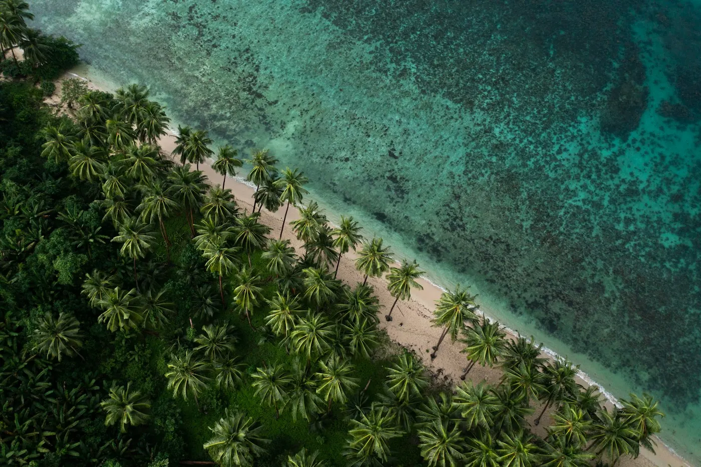 Pulau dengan deretan pohon kelapa dan air turkuois